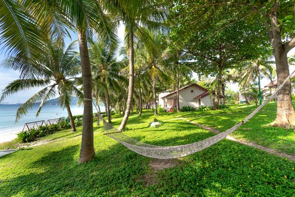 Quels sont les meilleurs spots pour observer les dauphins en Algarve, Portugal : périodes et conseils ?